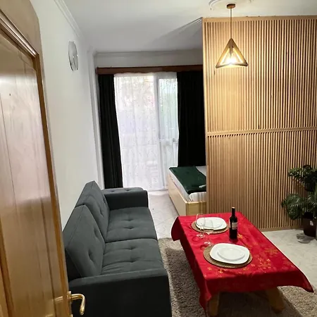 Studio Apartment شقة *