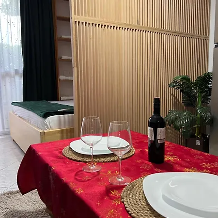 Studio Apartment Тирана